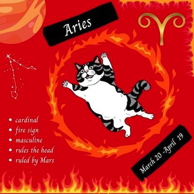 Clowder Press Feline Zodiac